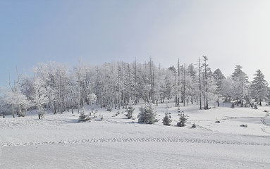 北大湖滑雪度假区第 42 张图片