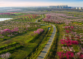 桃蹊水果农场(三十岗基地)