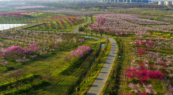 桃蹊水果农场(三十岗基地)