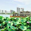 观音湖景区