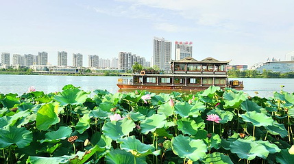观音湖景区第 1 张图片