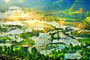 上堡梯田