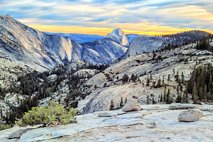 Olmsted Point 观景点