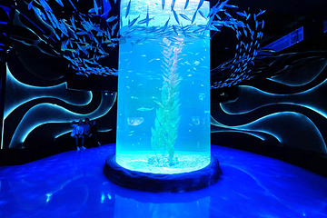 雅加达多媒体水族馆第 11 张图片
