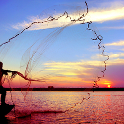 鄱阳湖国家湿地公园