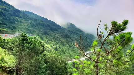 陇南香山自然保护区第 1 张图片
