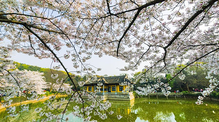 无锡太湖鼋头渚风景区-鼋渚春涛第 1 张图片