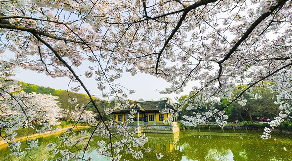 无锡太湖鼋头渚风景区-鼋渚春涛