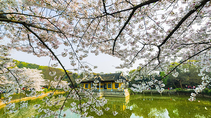 无锡太湖鼋头渚风景区-鼋渚春涛第 2 张图片