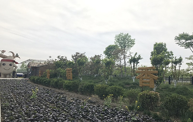 稻香农谷第 27 张图片