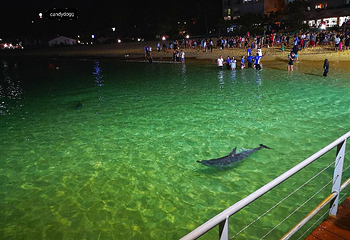 莫顿岛第 28 张图片