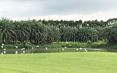 迪茵湖第 120 张图片