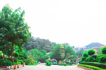 莲花山旅游区第 13 张图片