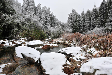 桂林天湖冰雪世界滑雪场第 31 张图片