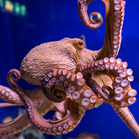 云龙湖水上世界