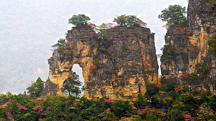 九路寨生态旅游区第 103 张图片