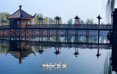 世泰湖省级湿地公园第 1 张图片