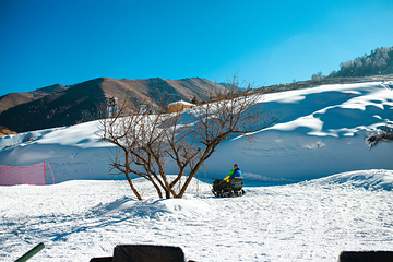 鹧鸪山自然公园滑雪场第 15 张图片