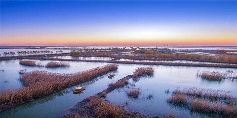 高邮湖芦苇荡湿地公园第 4 张图片
