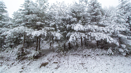 玉舍雪山滑雪场第 45 张图片