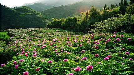 恺之峰旅游区第 40 张图片