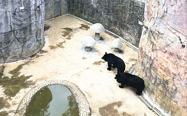 桂林动物园第 30 张图片
