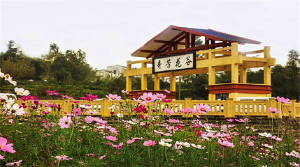 万州奇芳花谷第 8 张图片