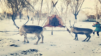 南湖乐众冰雪世界第 33 张图片