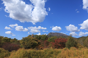 阿尔山白狼峰景区第 82 张图片