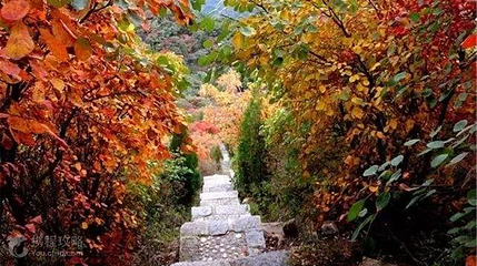 红山翠谷风景区第 5 张图片