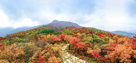 坡峰岭第 16 张图片