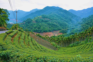 Shihding Ciandao Lake第 2 张图片