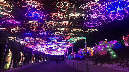 沈阳奥体冰雪嘉年华第 79 张图片