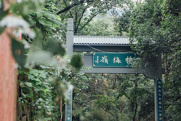 杨梅岭村第 10 张图片