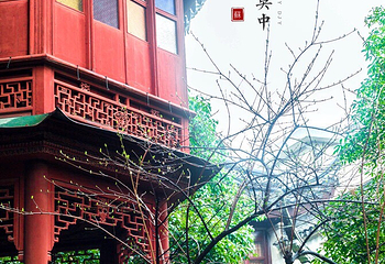 东山雕花楼第 6 张图片