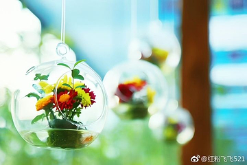菊香人家第 1 张图片