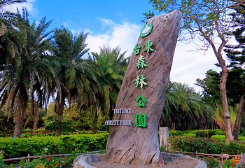 台东森林公园第 4 张图片