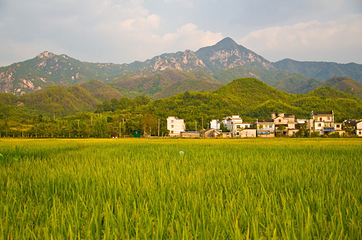 龙川景区第 40 张图片