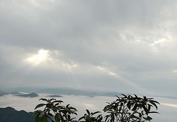 大桂山国家森林公园第 32 张图片