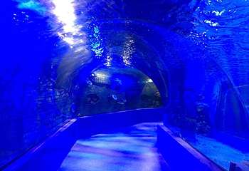镜湖湿地海洋世界第 9 张图片