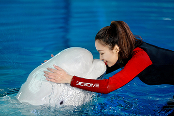 三亚亚特兰蒂斯失落的空间水族馆第 52 张图片