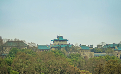 武汉大学第 26 张图片