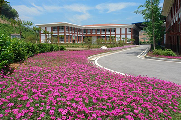晚安家居文化园(车塘河路店)第 4 张图片