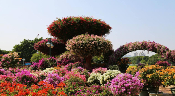 中国杜鹃花博览园