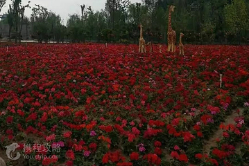 魏祠公园-热带植物园第 2 张图片
