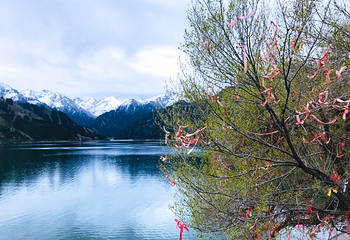 天山天池第 236 张图片