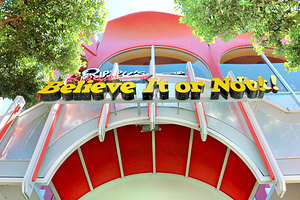 瑞奇先生的信不信由你博物馆