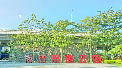 海湾湿地生态公园第 1 张图片