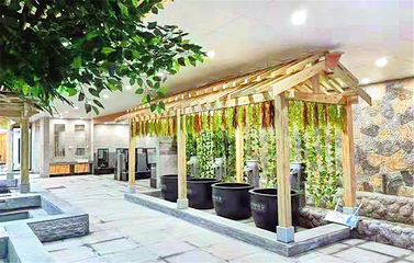 泡泡汤泉(中国云谷平阴玫瑰产业基地店)第 1 张图片