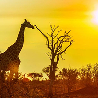 克留格尔国家公园